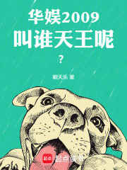 华娱2009：叫谁天王呢？