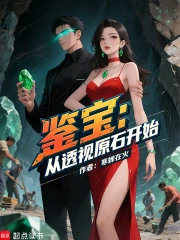 鉴宝：从透视原石开始
