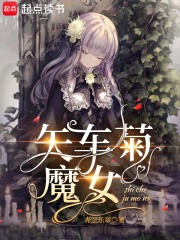 矢车菊魔女